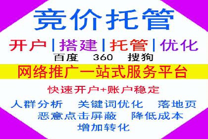 某知名企业SEM营销全案解析