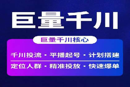 案例研究：竞价广告助力电商行业增长